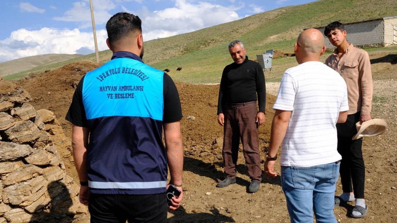 Van'da kuduz alarmı
