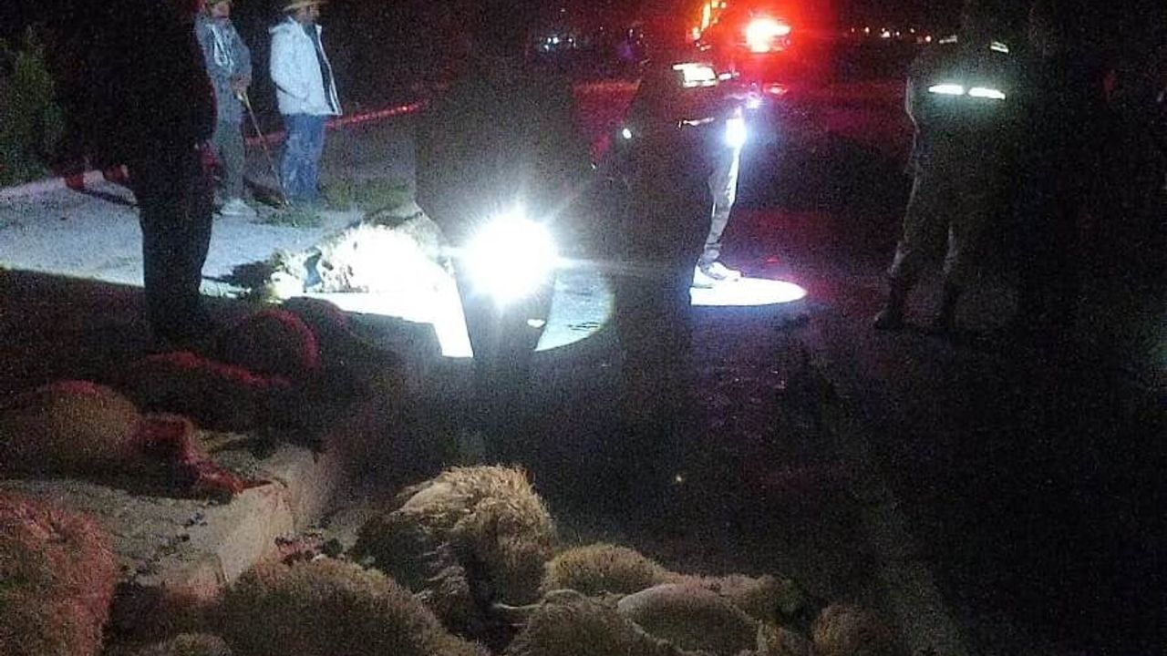 Van Gürpınar'da trafik kazası: Otomobil koyun sürüsüne çarptı, 17 koyun telef oldu