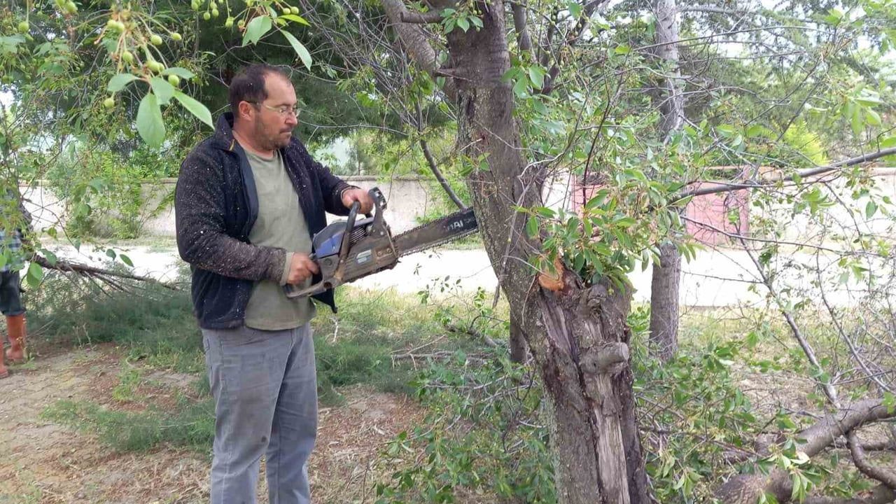 Yarımca Köyü Muhtarı Ali Ün ağaç budama çalışmasıyla köyün yeşil dokusunu yeniledi