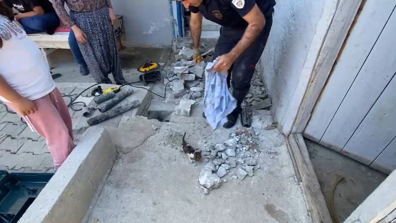 Yavru kedi plastik borudan itfaiye ekiplerince kurtarıldı