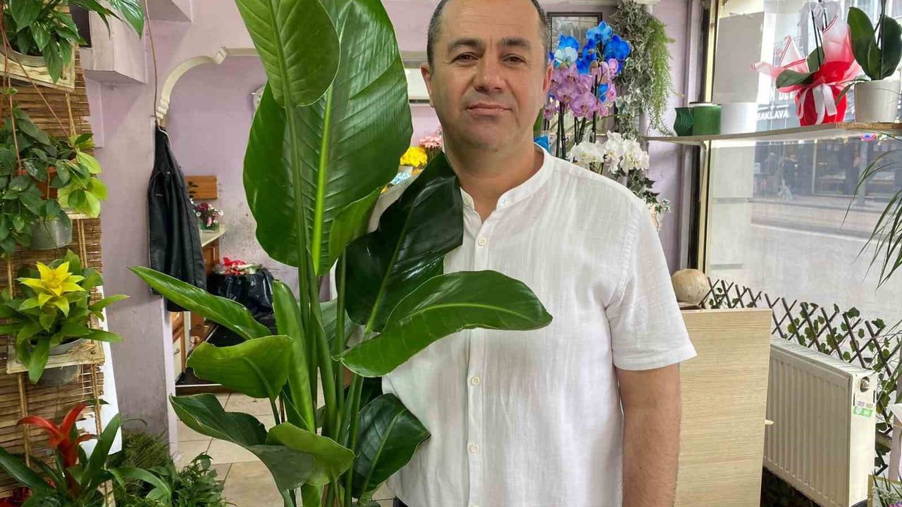 Yaz aylarında çiçek bakımında dikkat edilmesi gerekenler