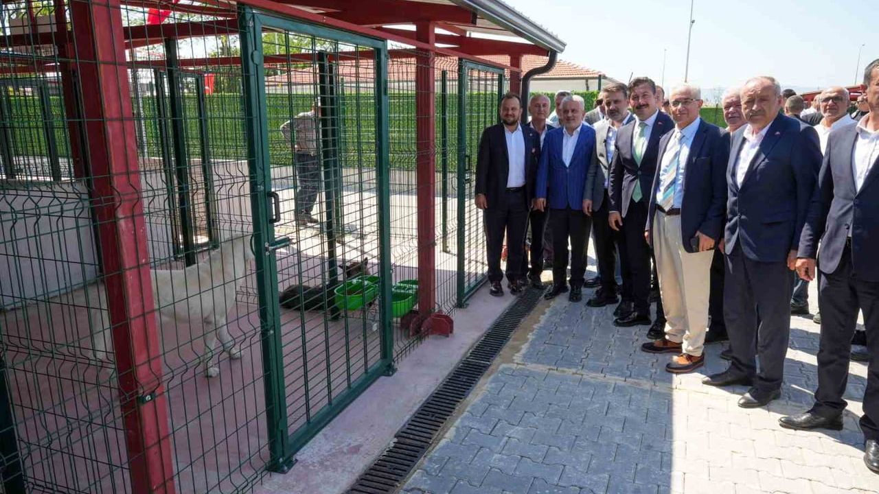 Yenişehir'de Güney Marmara'nın en modern hayvan bakımevi hizmete girdi