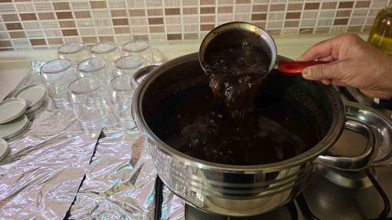 Yozgat'ta çam kozalağından turşu üretildi