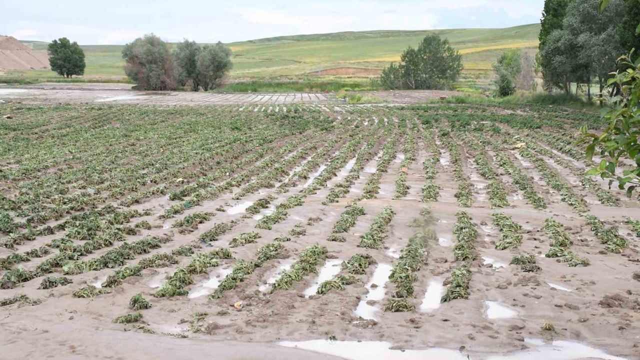 Yozgat'ta dolu ve sağanak tarım arazilerine zarar verdi