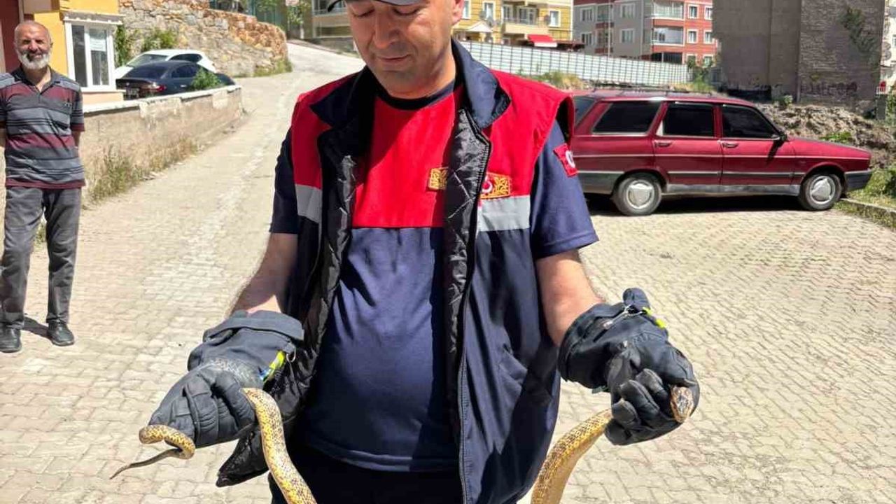 Yozgat’ta otomobile giren yılan itfaiye ekiplerince çıkarıldı