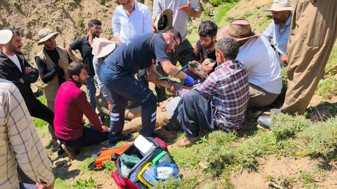 Yüksekova yaylasında rahatsızlanan çoban kurtarıldı