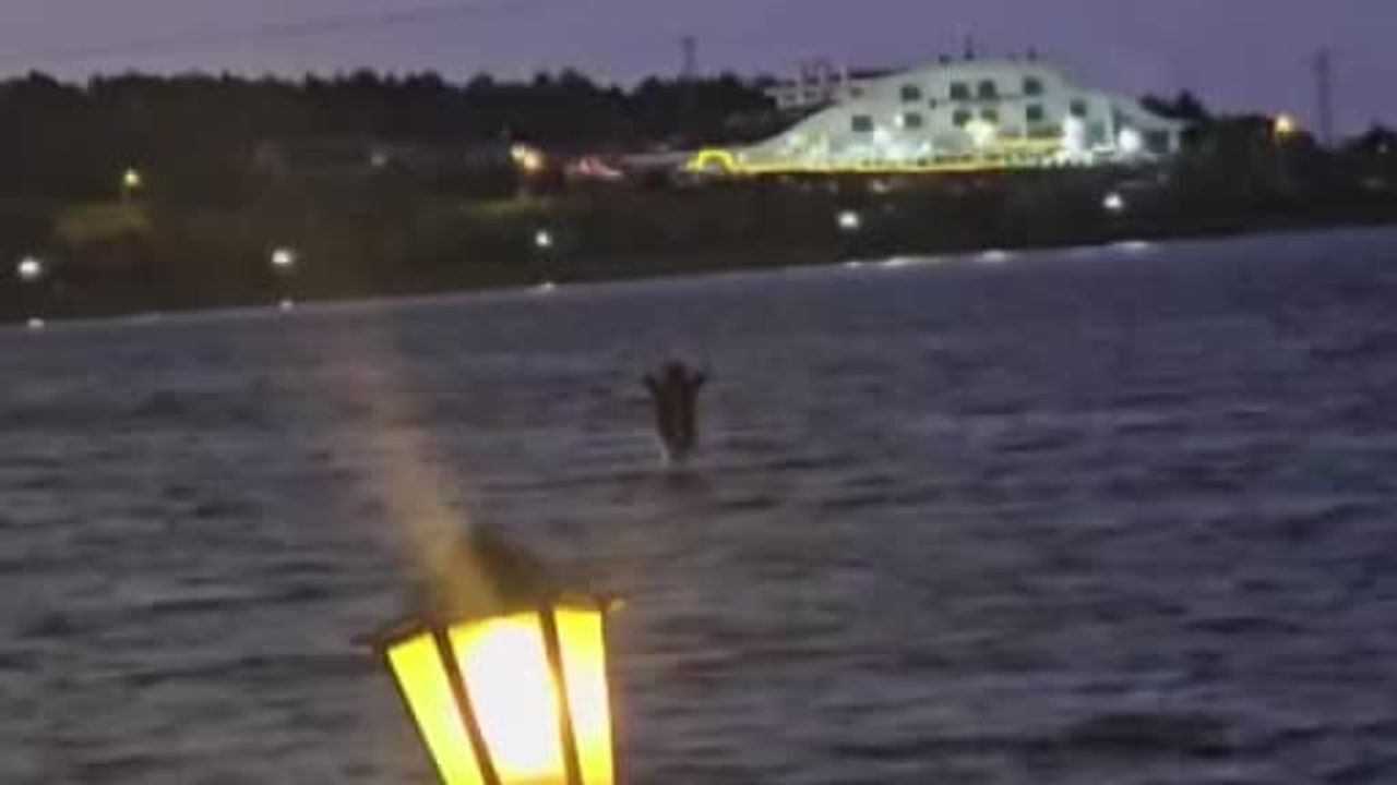 Zipline mahsur kalan vatandaşı deniz bisikletiyle gölette gezenler kurtardı