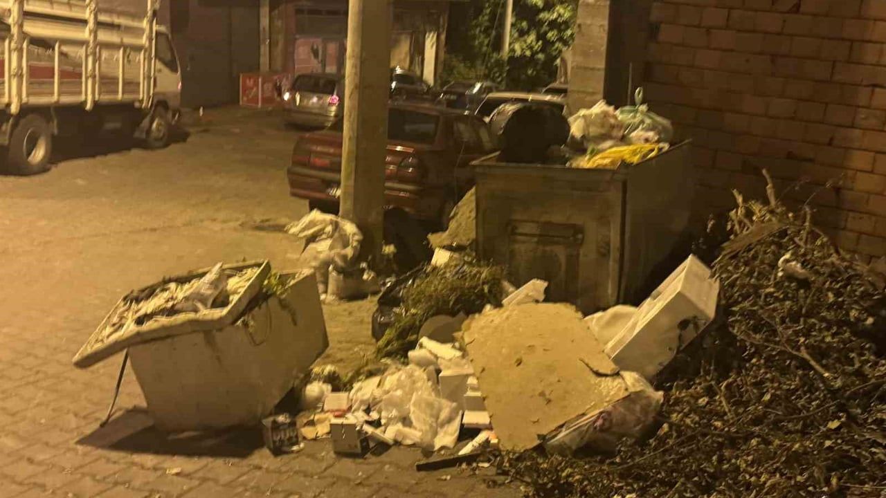 Zonguldak'ta çöp krizi büyüyor: Bahçelievler ve Soğuksu'da toplanmayan çöpler vatandaşı rahatsız ediyor