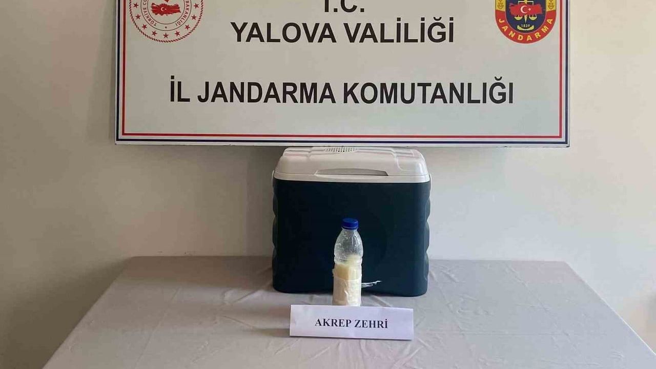 5 milyon dolarlık akrep zehri Yalova'da yakalandı