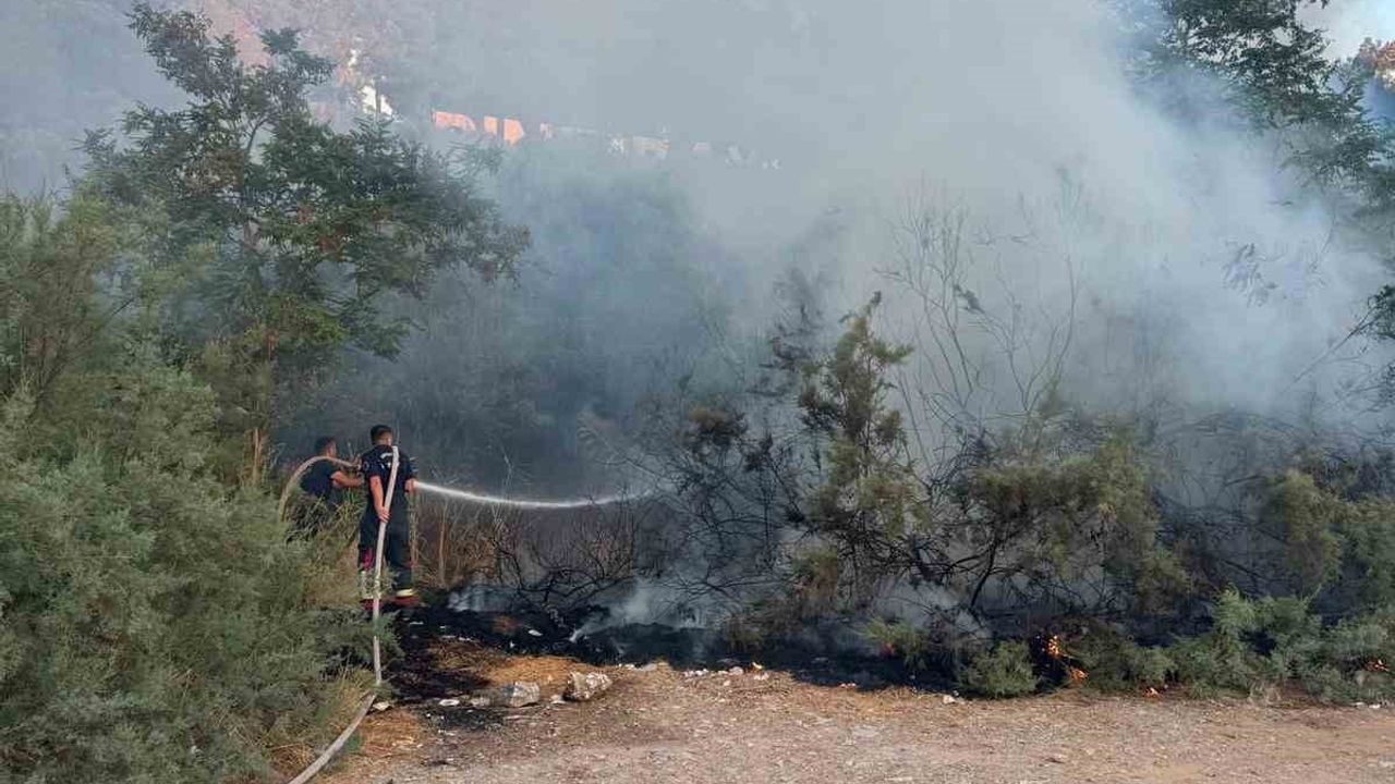 Ada Göl kenarındaki ağaçlıkta çıkan yangın itfaiyenin müdahalesiyle kontrol altına alındı