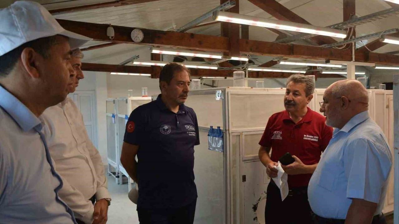 Adana'da faydalı böcek üretim merkezi incelendi