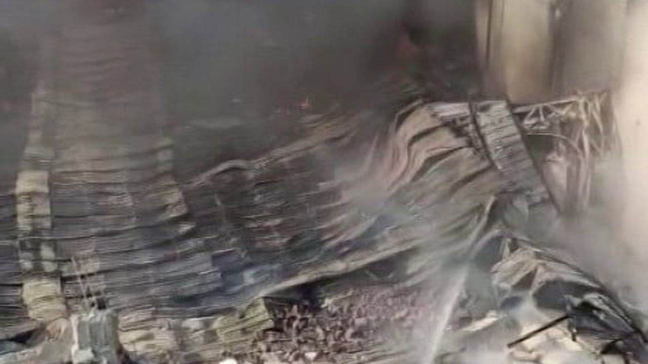 Adana’da narenciye paketleme tesisinde yangın