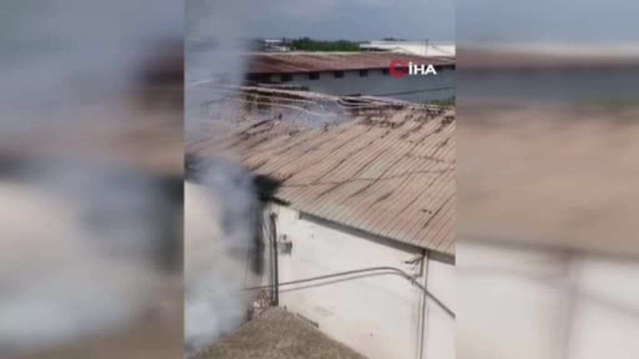 Adana'da narenciye paketleme tesisinde yangın