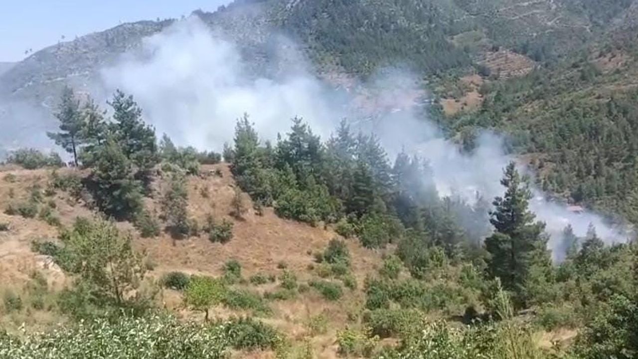 Adana'nın Feke ilçesinde orman yangını