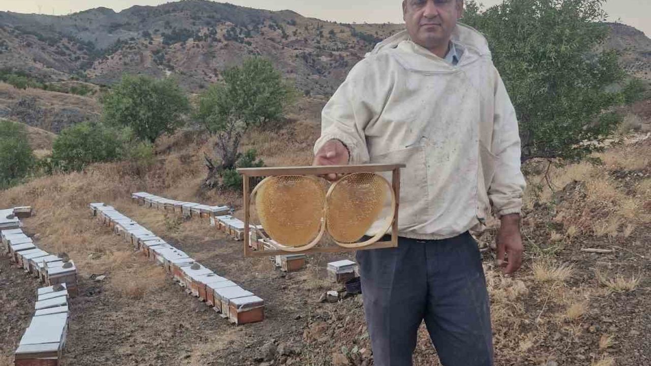 Adıyaman’da 2026 bal fiyatları açıklandı