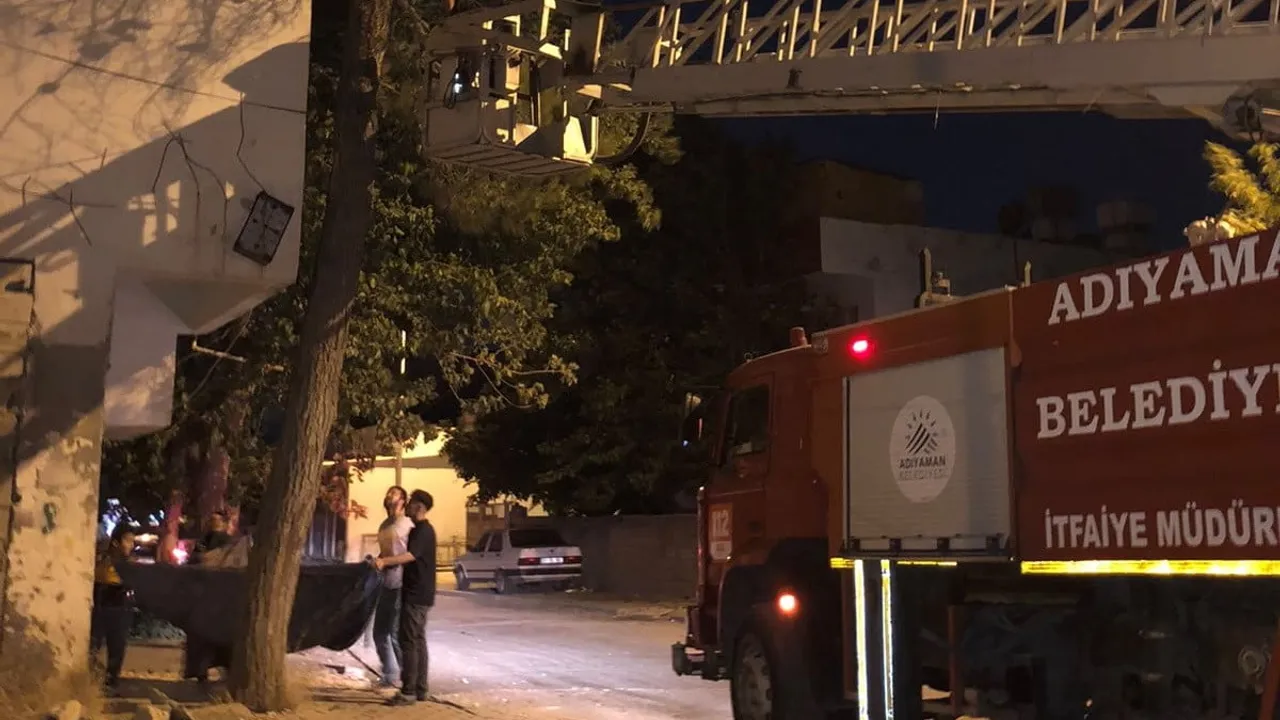 Adıyaman'da ağaca çıkan kedi itfaiye tarafından kurtarıldı