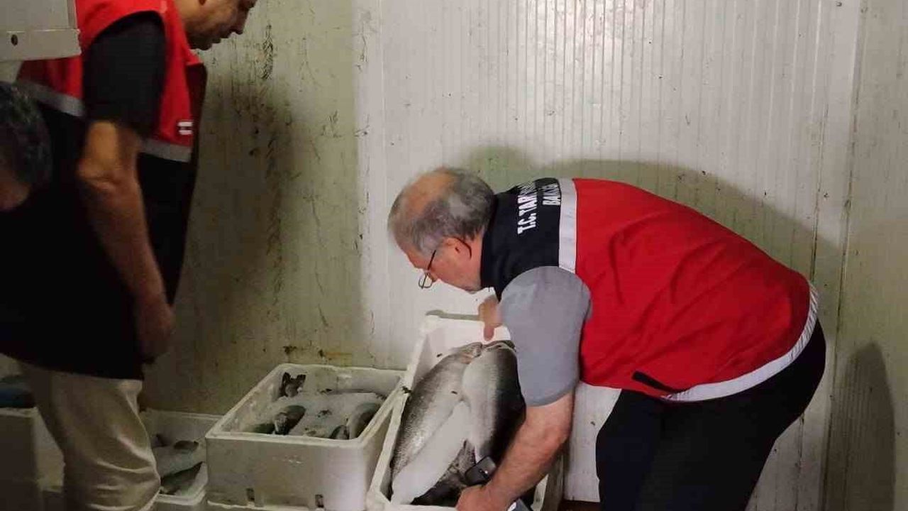 Adıyaman'da av sezonunun başlamasıyla su ürünleri denetimleri artırıldı