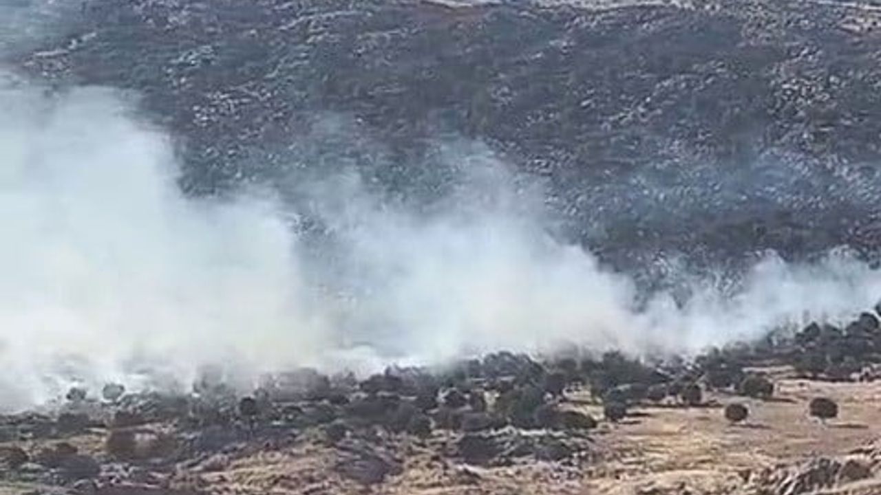 Adıyaman'da İndere köyü çevresinde orman yangını: ekiplerin müdahalesi sürüyor