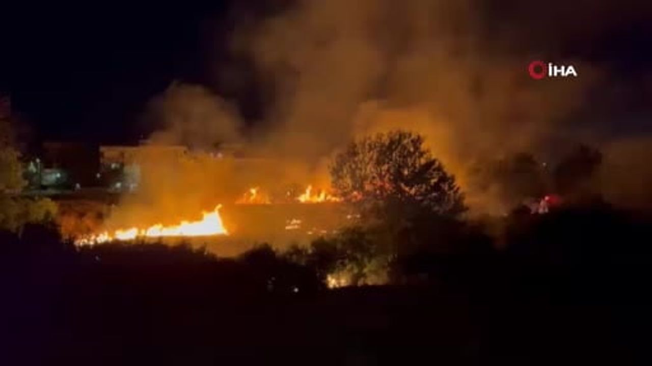 Adıyaman'da otluk alanda çıkan yangın bahçeye sıçradı