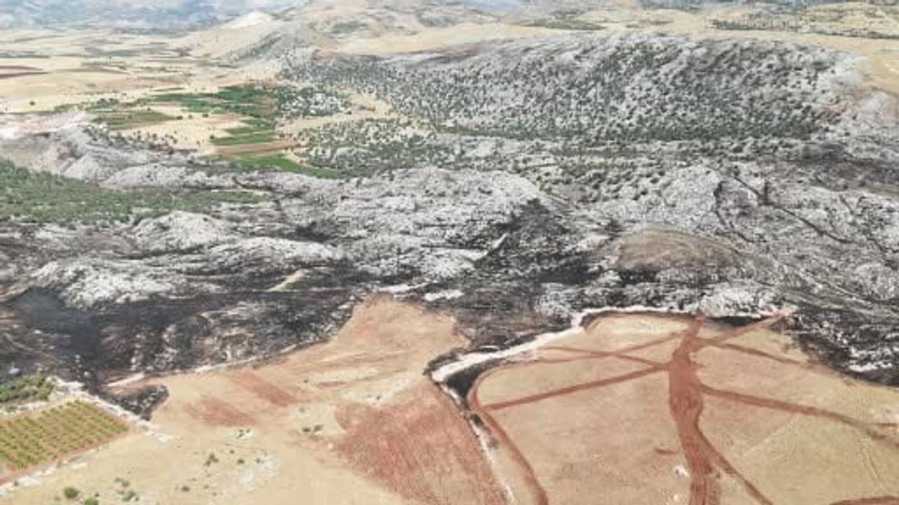 Adıyaman'da rüzgarın etkisiyle yayılan orman yangını takviye ekiplerle söndürüldü