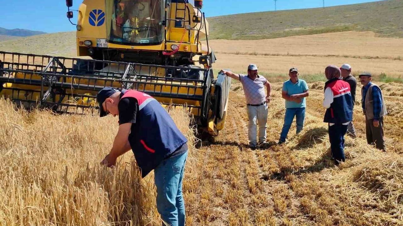 Afyonkarahisar'da hububat hasadı başladı