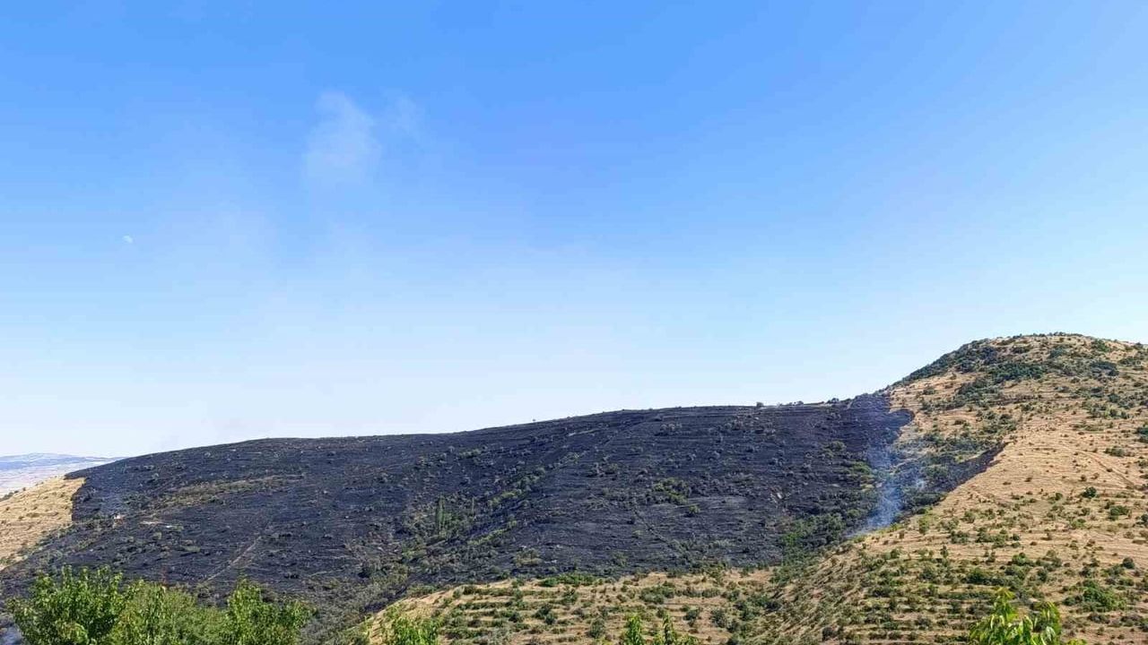 Afyonkarahisar'da rüzgarın büyüttüğü yangın 150 hektarı etkiledi