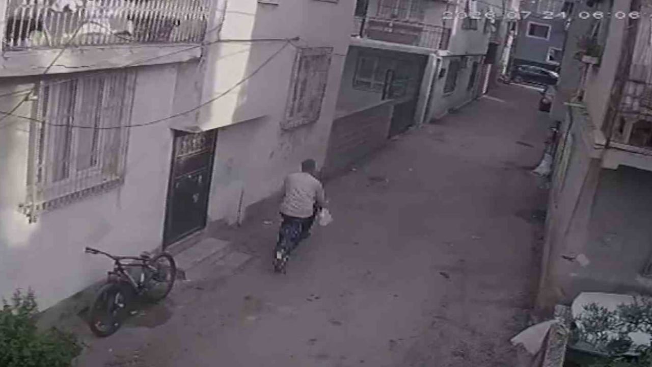 Ağaçtaki kedi mamalarını bisikletle çalan kişi mahalleyi huzursuz etti
