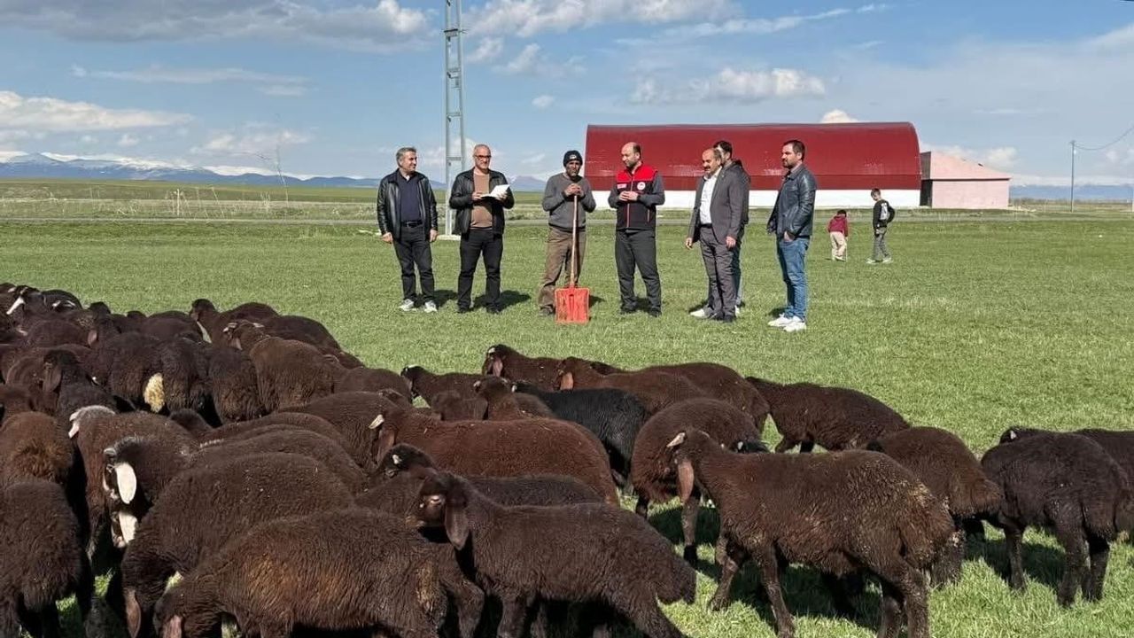 Ağrılı yetiştiricilere modernizasyon paketi: yüzde 50 makine hibesi ve indirimli ilaçlar