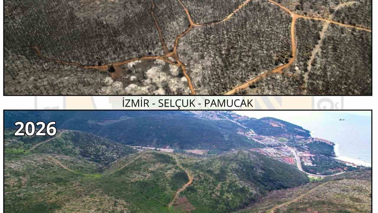 AK Parti’li Saygılı: devlet yanan her karış toprağı yeniden fidanla buluşturdu