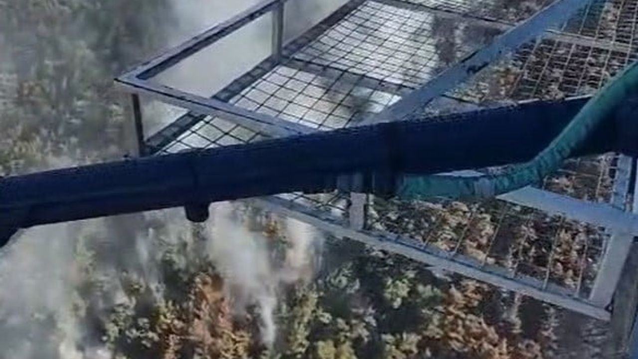 Akhisar'daki orman yangının enerjisi düşürüldü