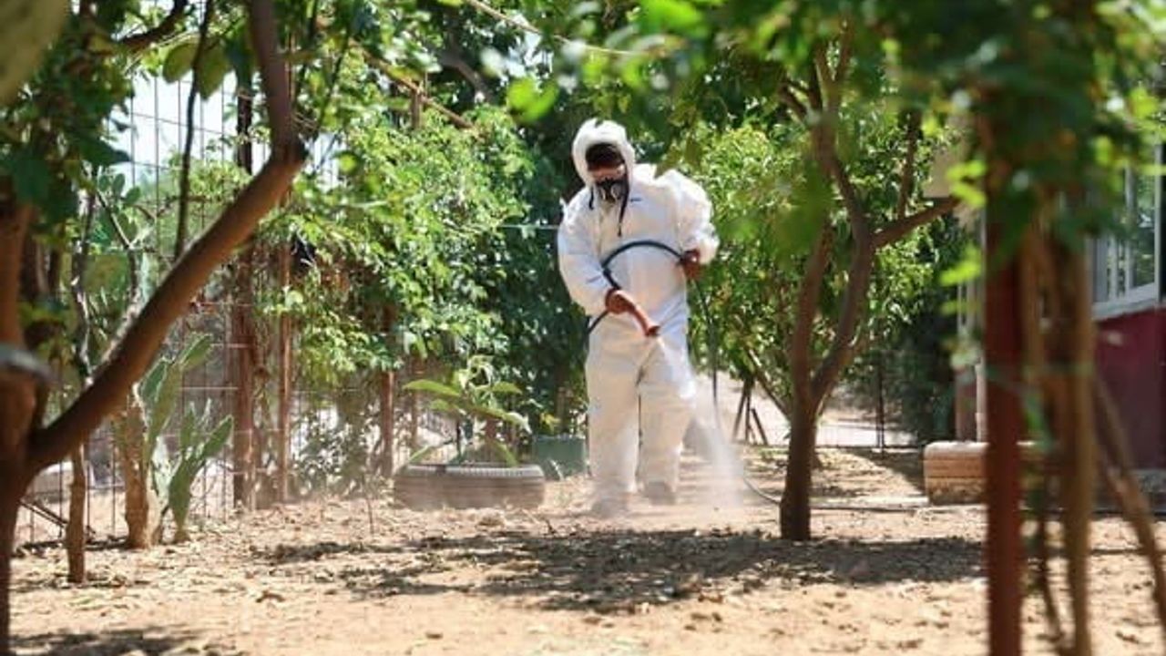 Aksu Belediyesi kene ihbarına hızlı müdahale etti