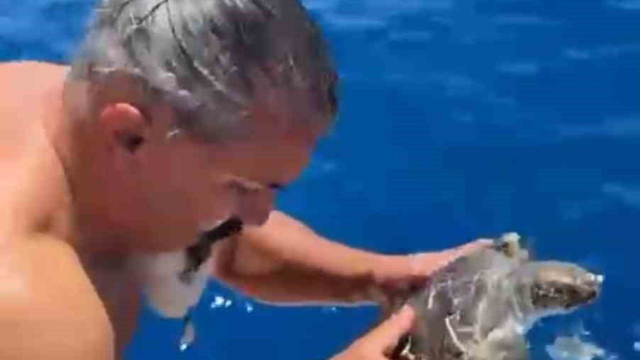 Alanya açıklarında çuvaldan kurtarılan caretta caretta, kaptanın müdahalesiyle Sahil Güvenlik'e teslim edildi