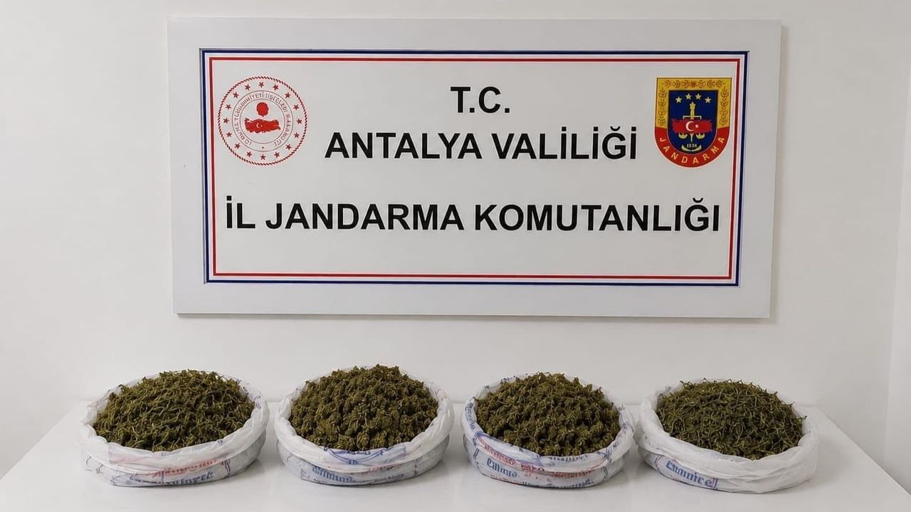 Alanya'da bir ikamette 1 kilo 979 gram kubar esrar ele geçirildi
