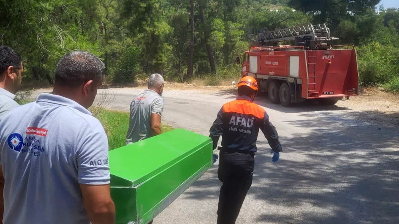 Alanya'da kamyonet ağaca çarptı: 1 ölü, 1 ağır yaralı