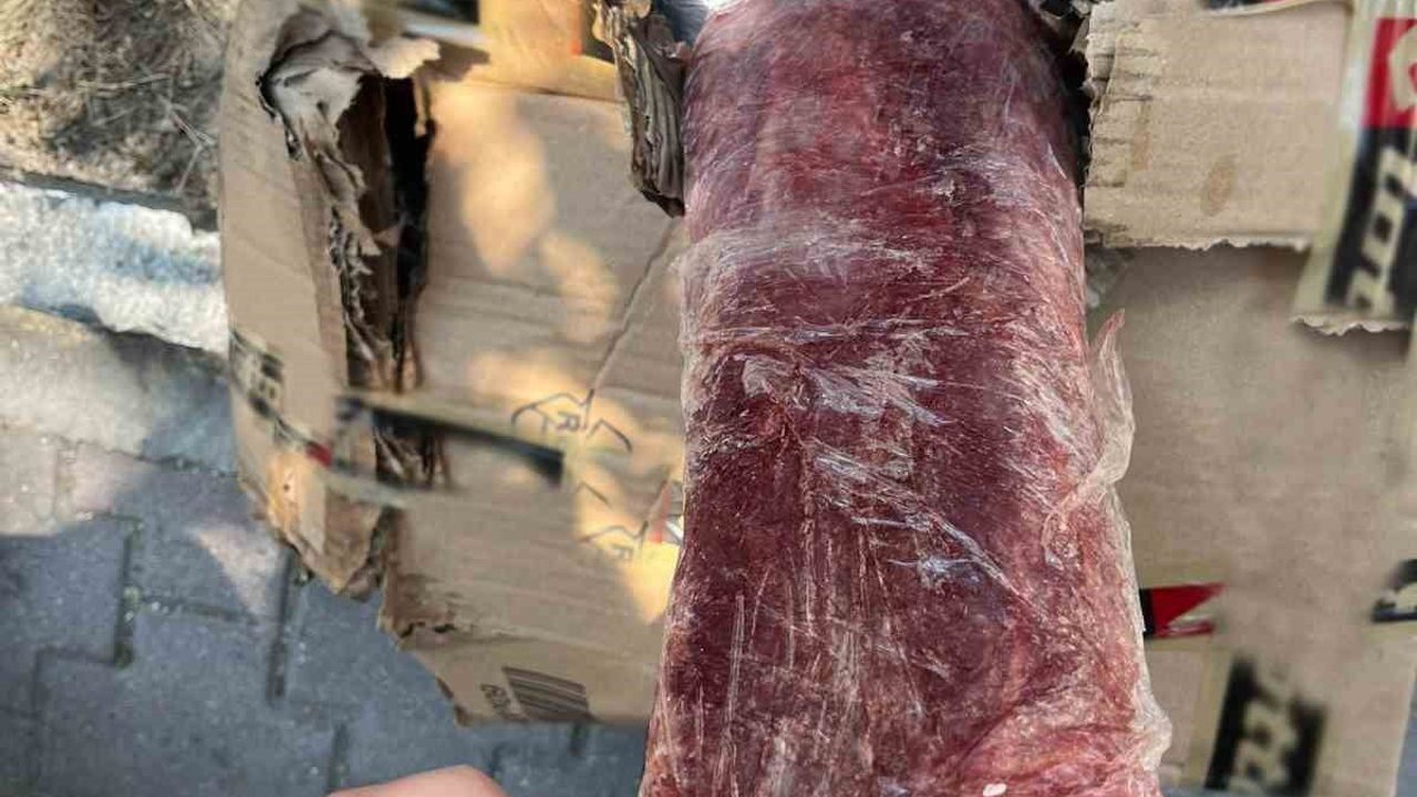 Alanya'da menşei belirsiz 300 kilogram et imha edildi