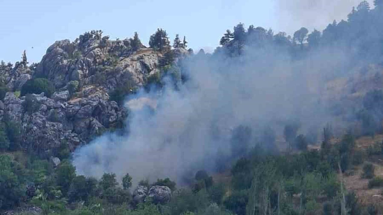 Alanya'da zirai alanda çıkan yangın kontrol altına alındı