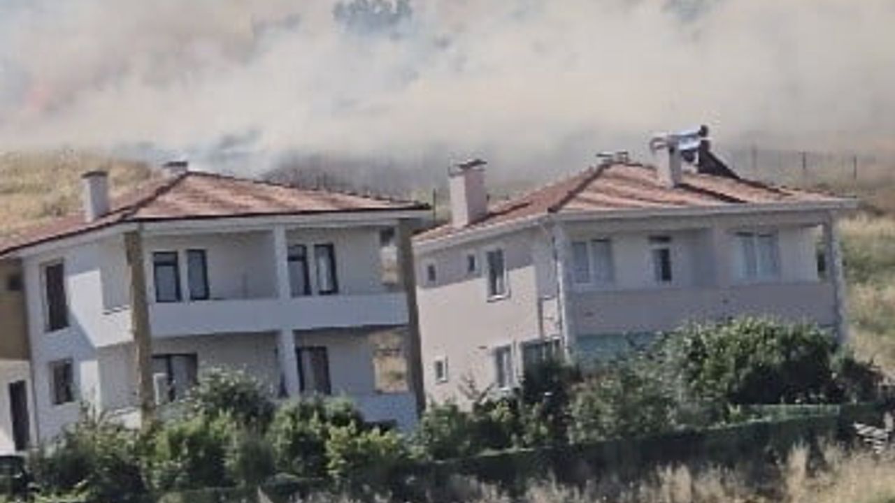 Alevler arasında kalan kaplumbağa itfaiye ekiplerince kurtarıldı