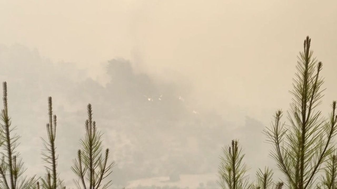 Alevler rüzgarla büyüdü, Seydikemer'de bazı evler tahliye edildi