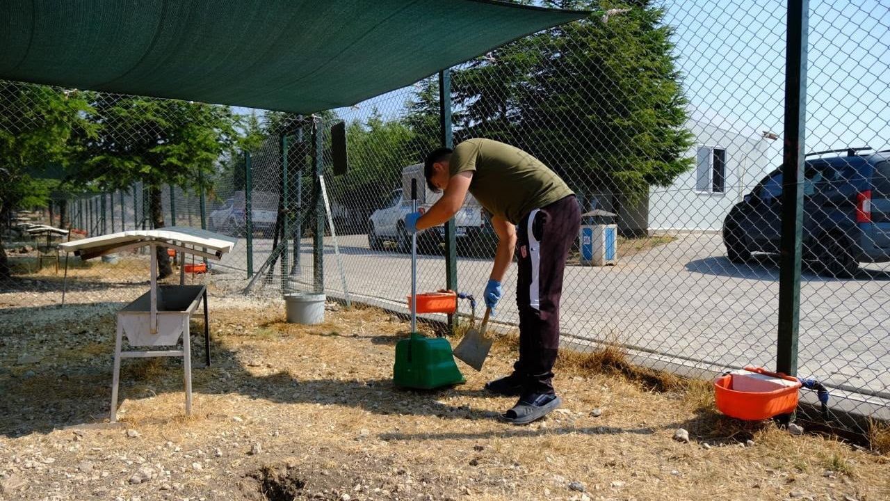 Altıeylül'de can dostlar güvende