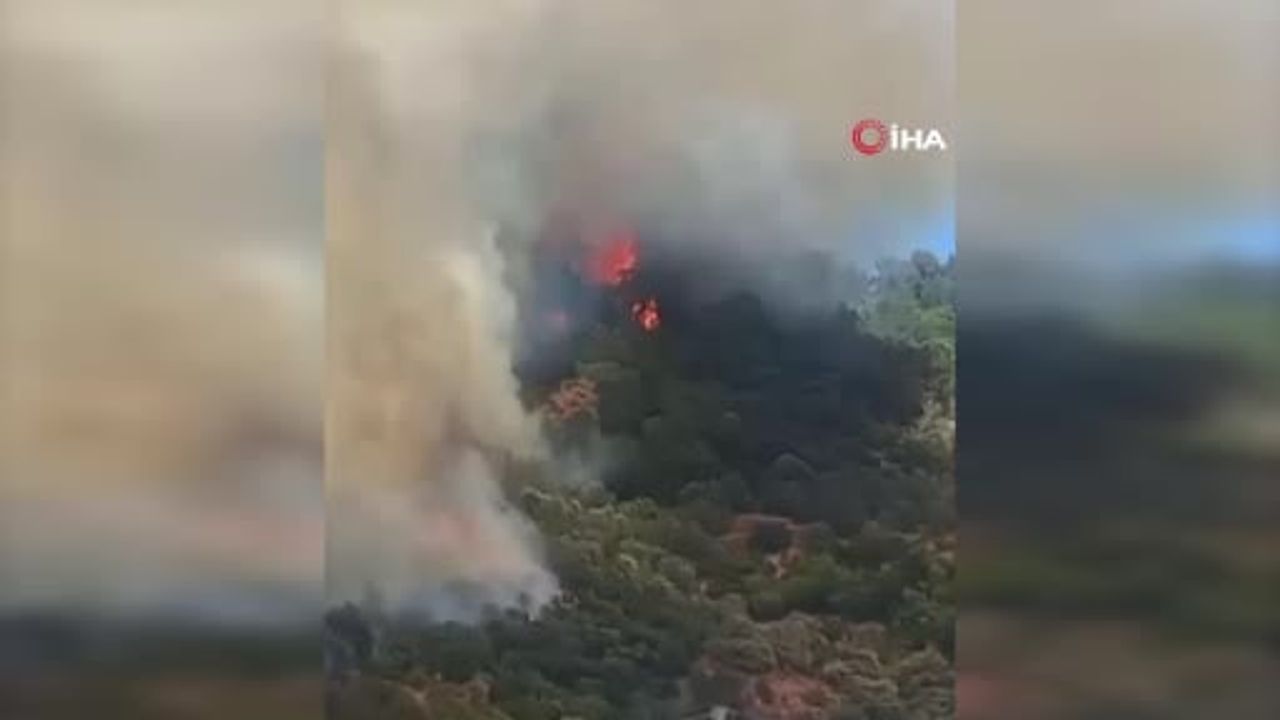 Altınoluk'ta orman yangını: 210 ev tahliye edildi
