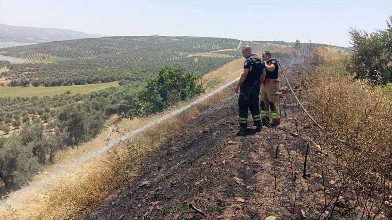 Altınözü'de anız yangını itfaiye tarafından söndürüldü