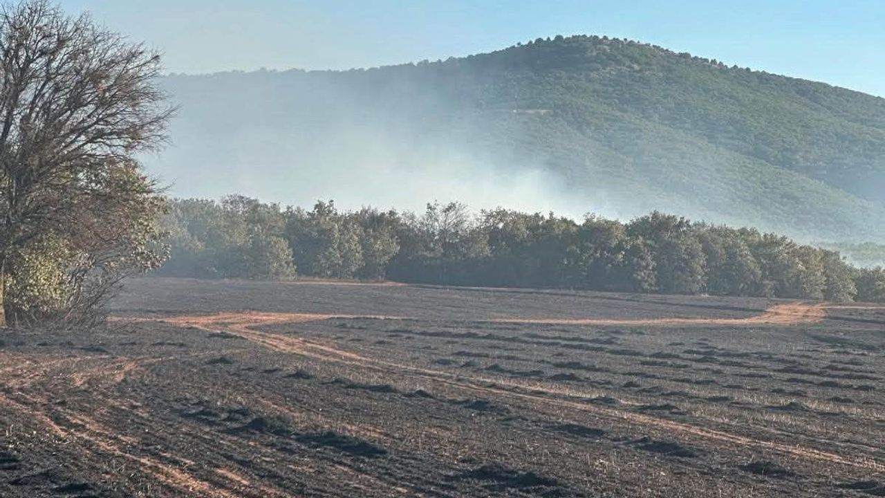 altıntaş'ta arazi yangını ekiplerin müdahalesiyle kontrol altına alındı