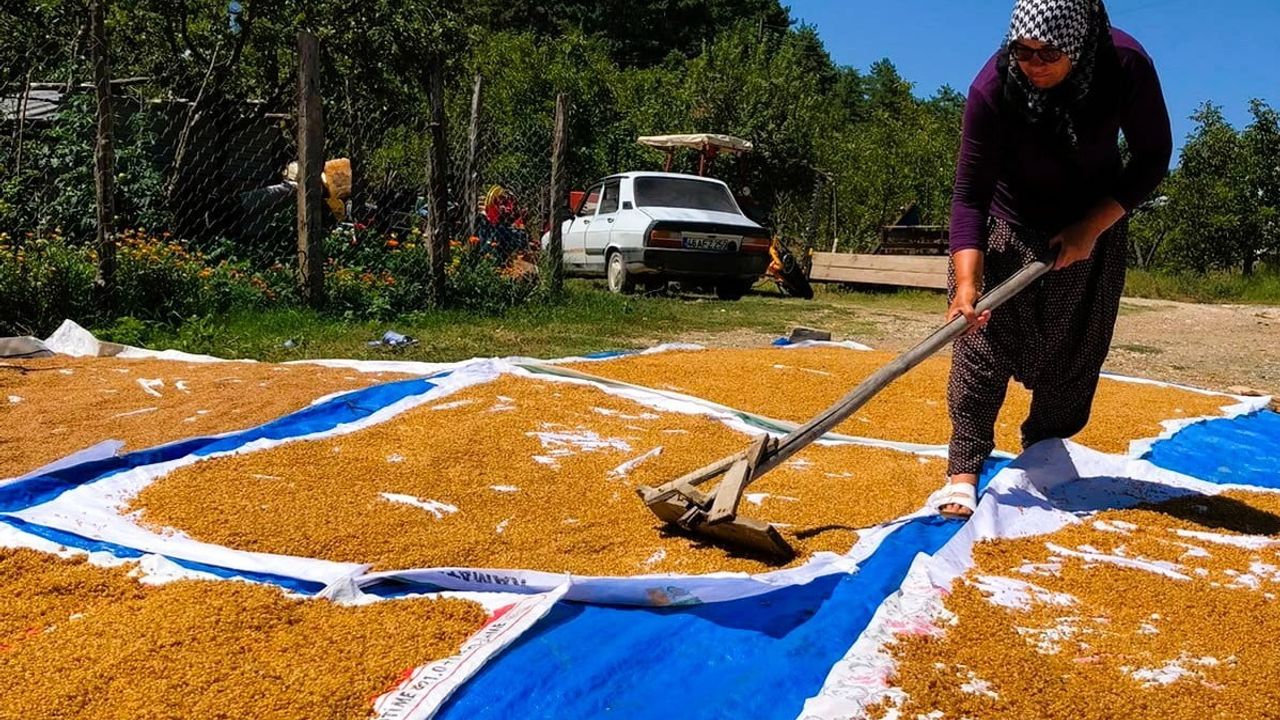 Andırın'da imeceyle kazanlarda kaynayan kışlıklar