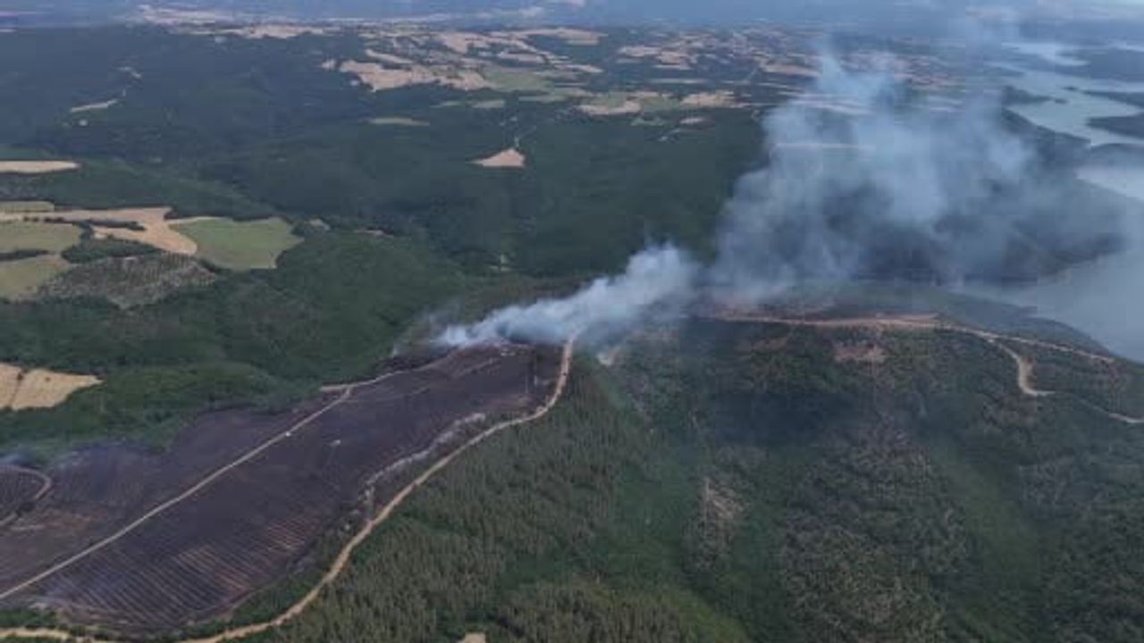 Anızdan ormana sıçrayan yangın Tekirdağ'da dron ile görüntülendi