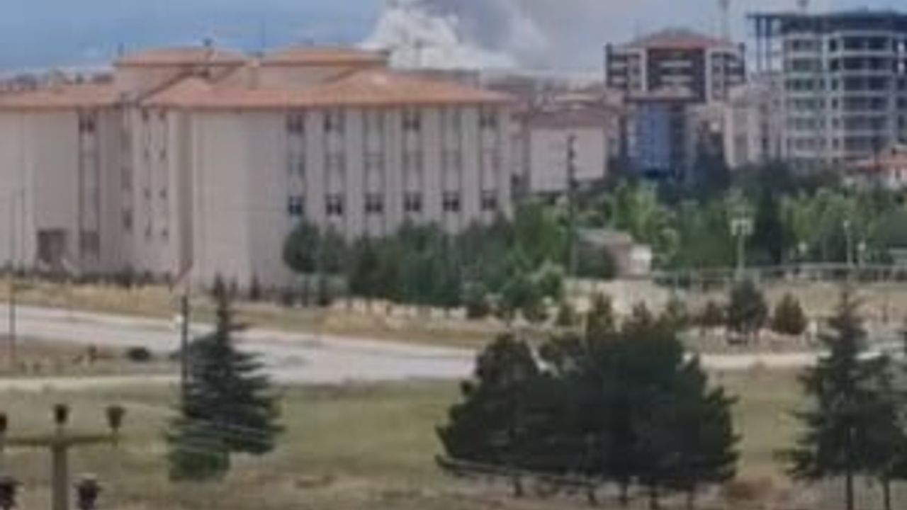 Ankara'da Çubuk ilçesi Güldarpı Mahallesi'nde arazi yangını köy sakinlerinin müdahalesiyle kontrol altına alındı