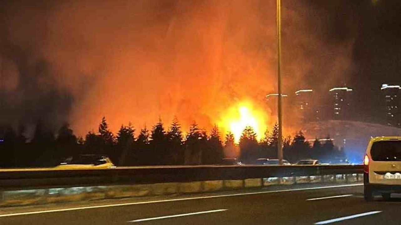 Ankara’da otluk arazide çıkan yangın söndürüldü