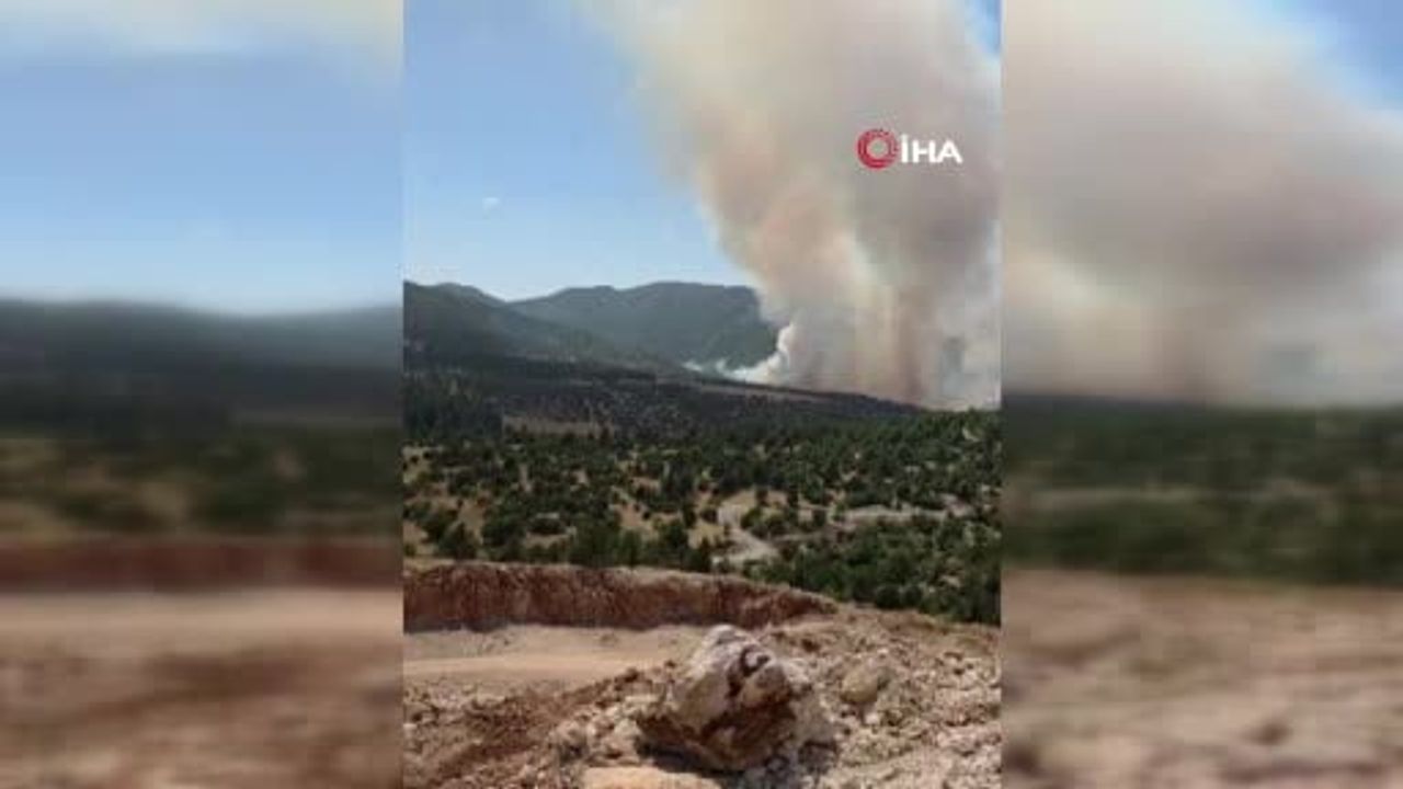 Antalya'nın Akseki ilçesinde ormanlık alanda yangın
