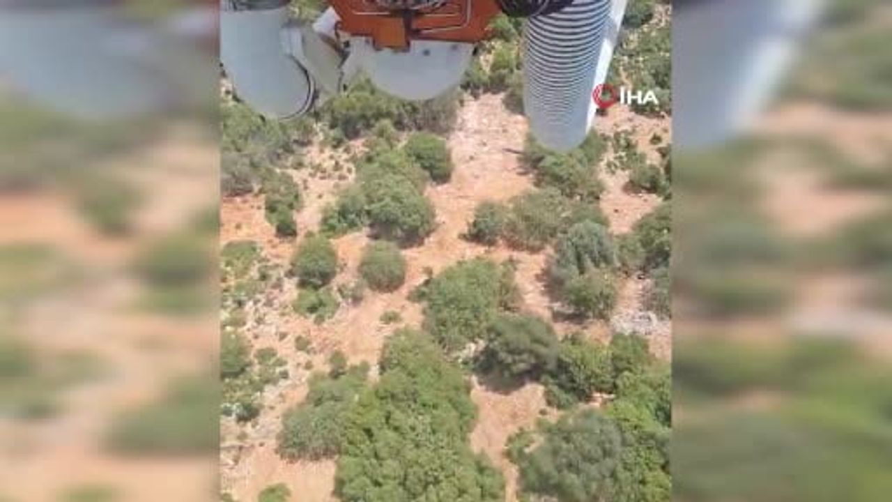 Antalya'nın Demre ilçesinde orman yangını