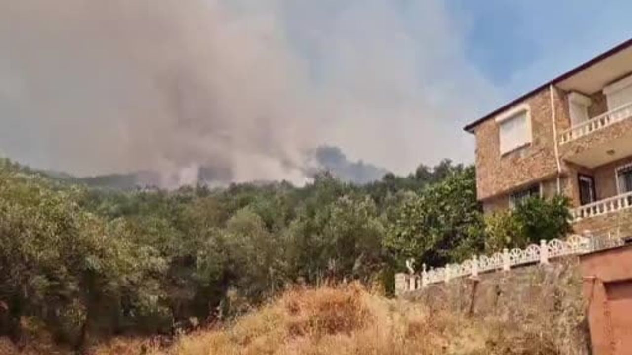 Antandros kazı alanı çevresinde orman yangını yerleşimleri tehdit ediyor
