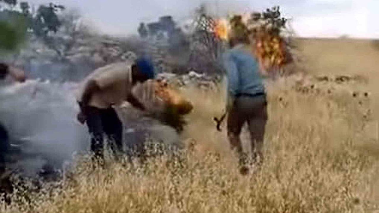 Araban'da fıstıklık ve otluk alanda yangın